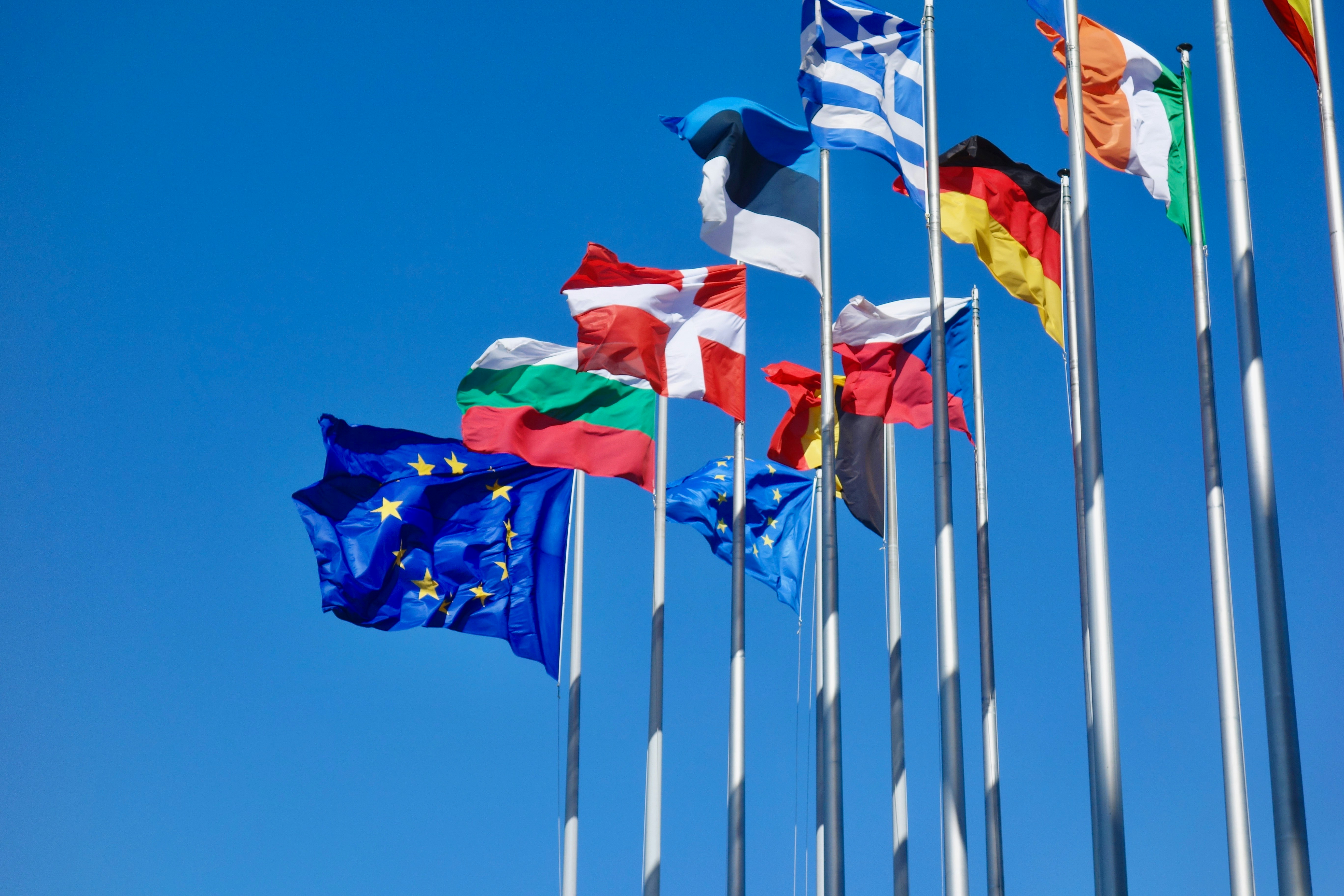 Billede af europæiske flag