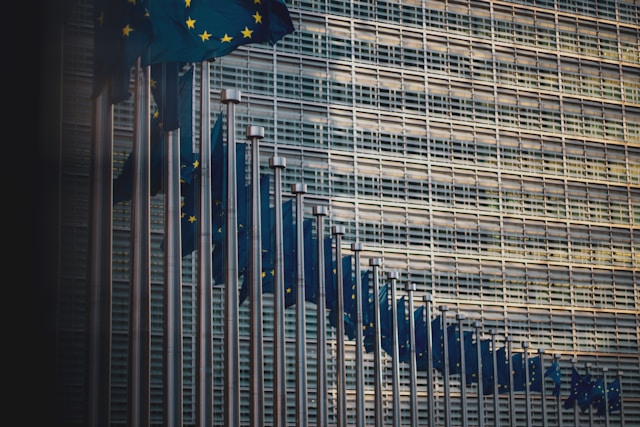 Foto af EU flag