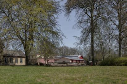 Børnehuset Grønnegården, BBP Arkitekter og Thing Brandt Landskab